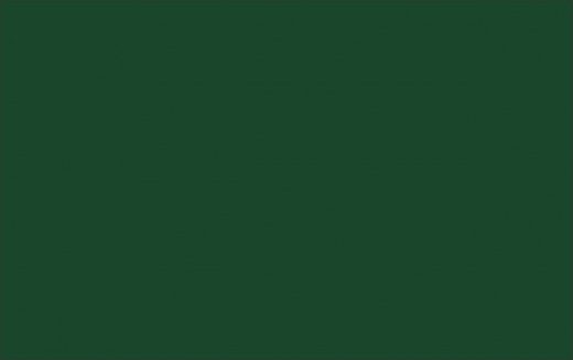 Ubrus tmavě lahvově zelený TC250-5