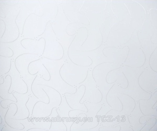 TCZ-13a.jpg